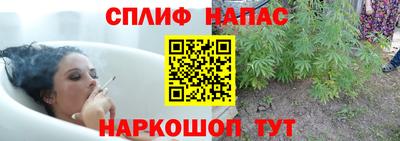 шишки Краснокаменск