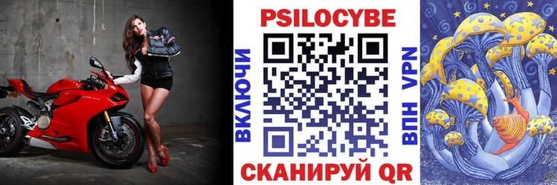 магазин  наркотиков  Радужный  Псилоцибиновые грибы GOLDEN TEACHER 