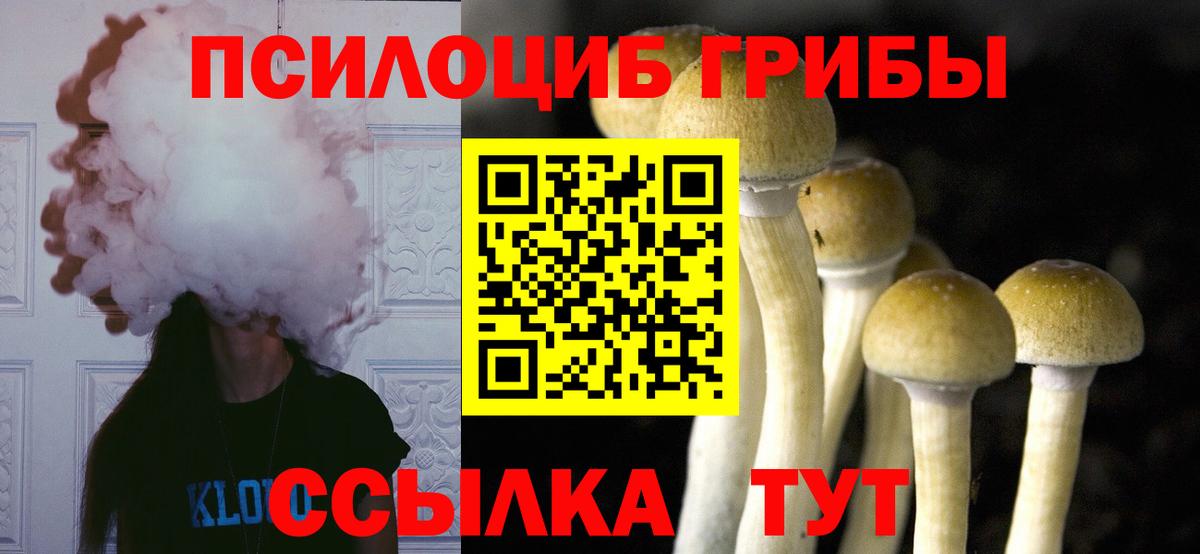 Радужный  Псилоцибиновые грибы мицелий  Вход с VPN  Галлюциногенные грибы мицелий 
